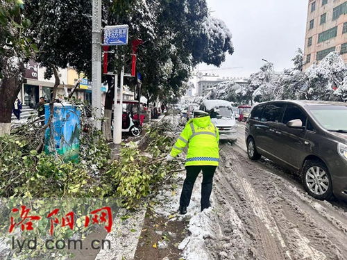 洛阳交警启动应急预案 全力保障市民出行安全